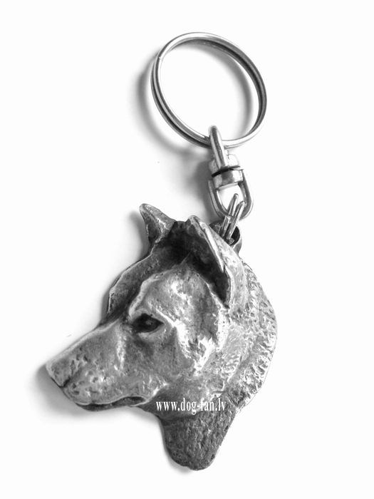 shiba1 copy4